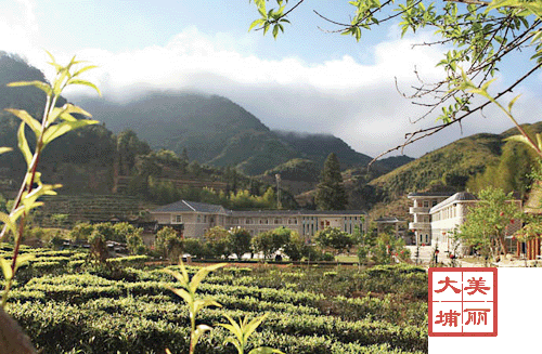 西岩茶乡度假村aaa
