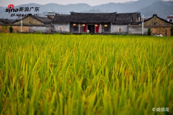 大夫第是小镇重文的标志建筑 大夫第是小镇重文的标志建筑
