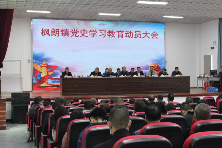 图二：枫朗镇党史学习教育动员大会.JPG