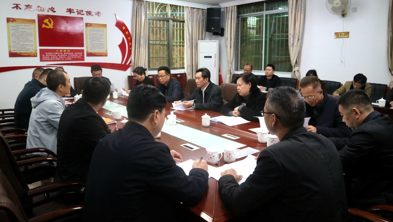 陈德志一行到洲瑞镇调研驻镇帮镇扶村和“百千万工程”工作.jpg