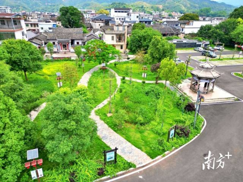 绿美小公园。