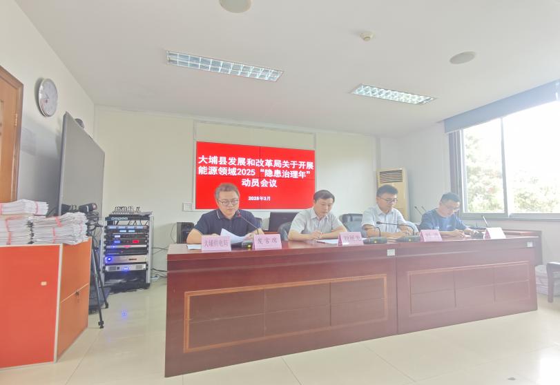 能源领域2025“隐患治理年“动员会议.docx_1