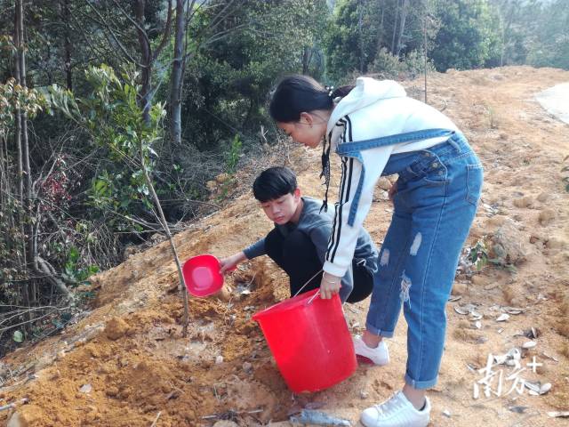 村民参加植树活动。