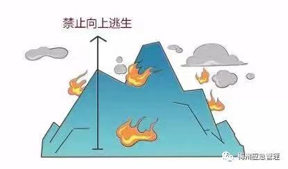 978948A6-AD1A-4992-81D4-36F2BC79A727.jpeg