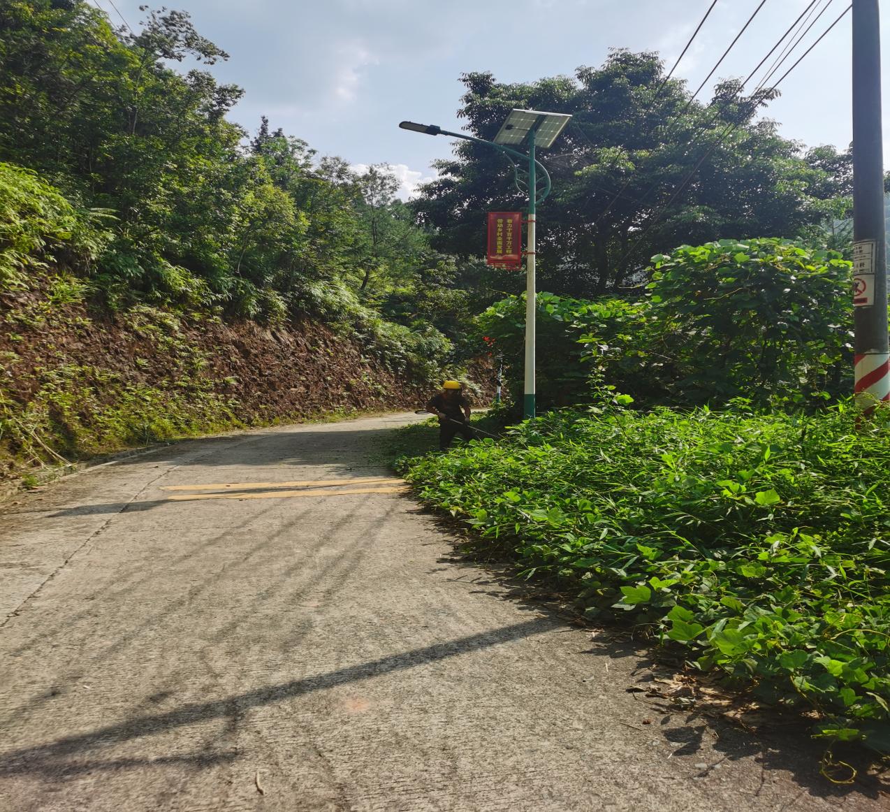 银江镇迎中秋、庆国庆重大节假日人居环境整治行动汇报.docx_13