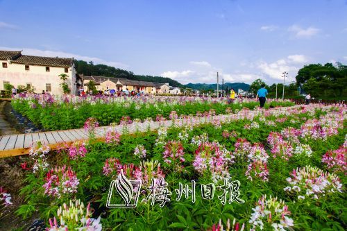 生态好了，环境变了，吸引越来越多的人前来旅游。图为西河北塘3A旅游景区。